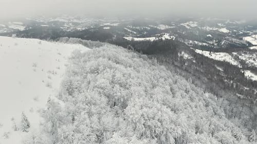 Aerial View of Snowy Winter Mountains and Forest Under Cloudy Grey Sky