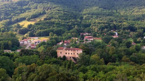 Picturesque Chateau Amongst Lush Trees and Greenery