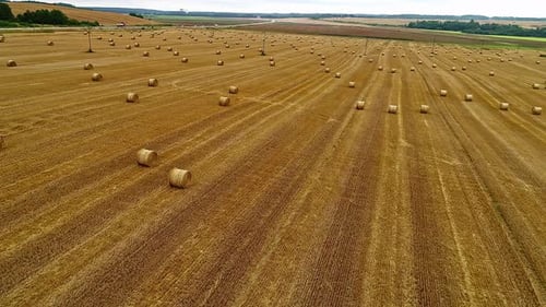 Aerial View of Golden Hay Field with Bales