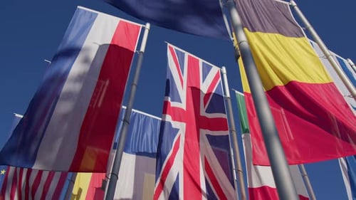 International Flags Waving Under a Clear Blue Sky