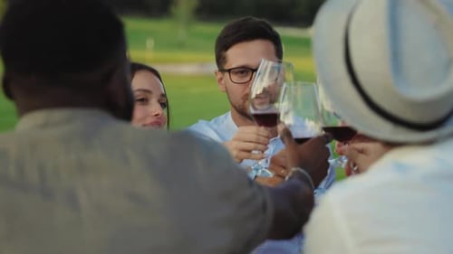 Group of Happy Beautiful Multiethnic Friends Having Picnic Together Cheering Wineglasses Enjoying
