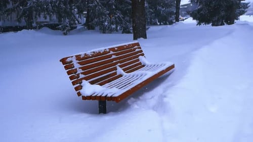 Empty Wooden Bench in a Park During Heavy Snowfall