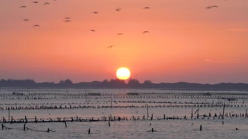 Sunrise Over Calm Water With Birds Perched