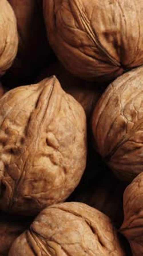 Whole Walnut Closeup Rotating Nuts Background Vertical Footage