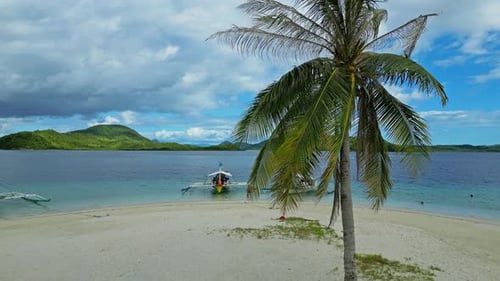 Tropical Beach with Palm Tree and Colorful Boats