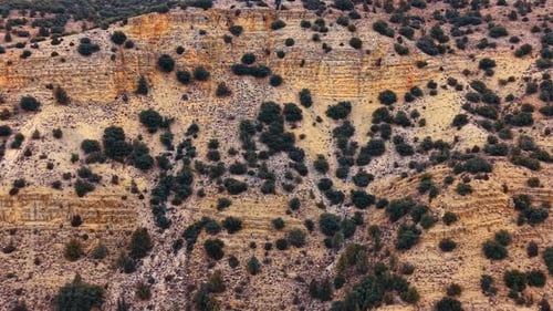 Geologische Gesteinsschichten und Sträucher am Hang in Spanien. Nahaufnahme der Textur von Sedimentgesteinsschichten