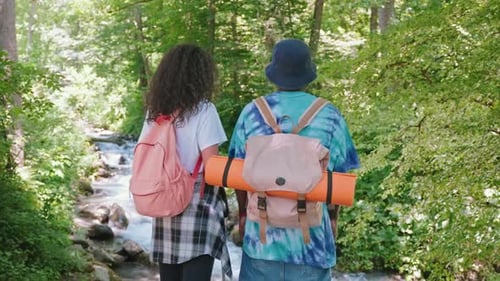 Hiking in Beautiful Forest in Summertime Back View of Male and Female Backpackers