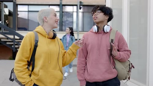 Dois jovens colegas de classe diversos conversando depois das aulas na faculdade