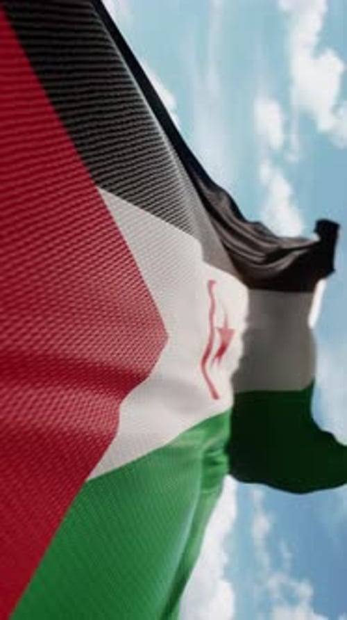 Wavy Flag Sahrawi Arab Democratic Republic Blowing in the Wind in Slow Motion Waving Official Flag