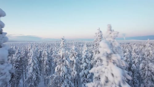 Drone Flys Closely Through Snowy Winter Wonderland Forest Landscape In Lapland, Finland, Arctic Circ