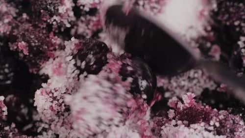 Berries Stirred with Sugar for Delicious Dessert