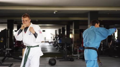 Martial Arts Training with Kicks and Punches in Gym