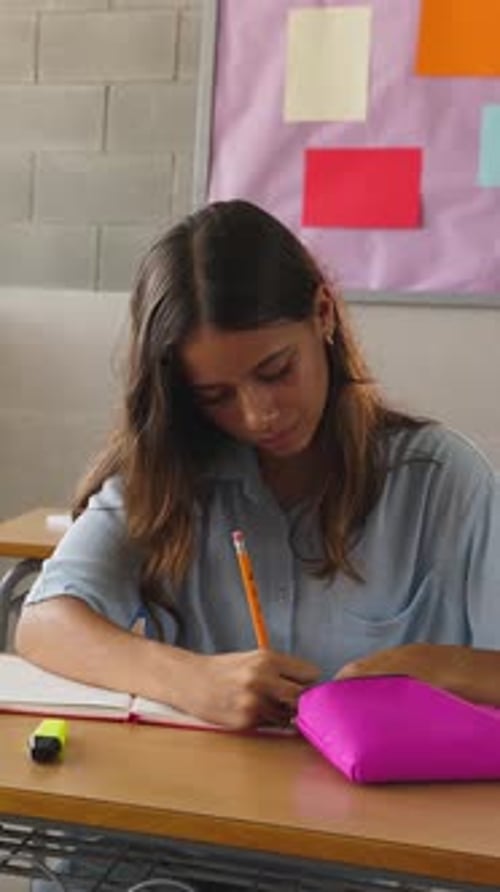 Young Elementary School Student Girl Studying in Classroom
