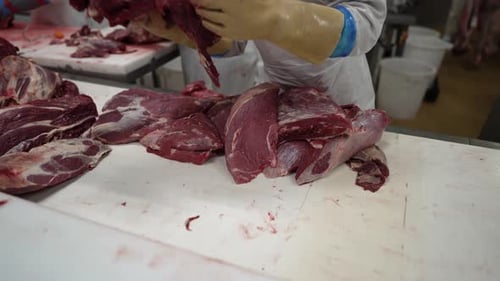 Beef filet cuts being separated by workers at a meat processing plant