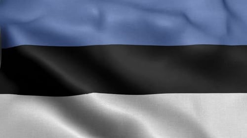 Waving Estonia Flag with Realistic Fabric Texture