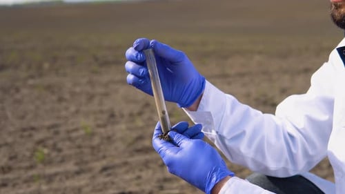 Top View of Soil in Hands for Check the Quality of the Soil for Control Soil Quality Before Seed