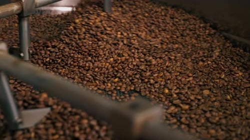 Closeup of a Coffee Roasting Factory Inside Drum Roasting Stirring Coffee