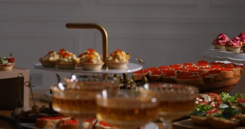Buffet menu. Many different appetizers on table, closeup. Camera moving right