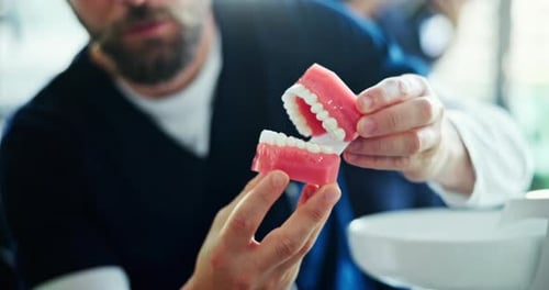 Hands, dentist and man with teeth model at clinic for demonstration and explain for oral surgery