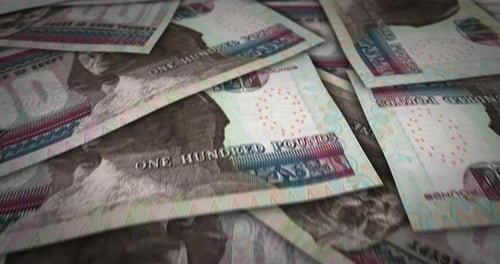 Egypt Pound 100 banknote flying over money surface