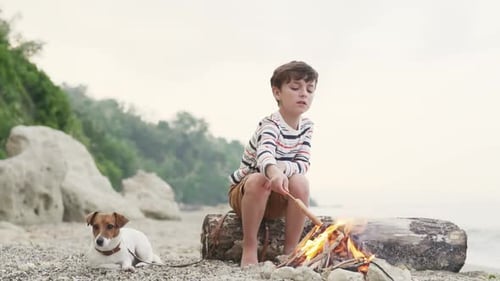 Boy fries sausages, bread and marshmallow on fire of bonfire slow motion sitting on sand sea, dog