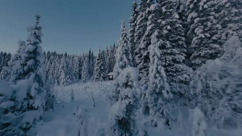 Snowy Winter Forest with Cabin Aerial View