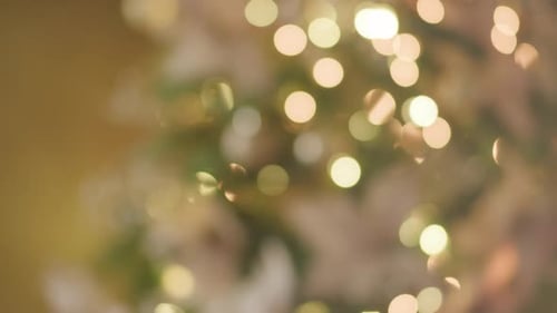 Blurred Christmas Tree Lights and Decorations