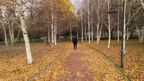 Adult Walks Path Covered in Autumn Leaves