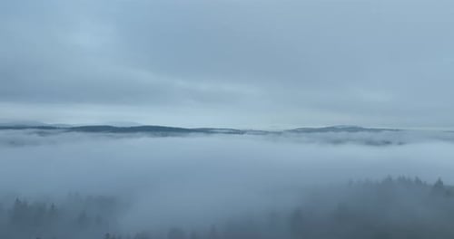 Cloud Inversion Over Green Forest