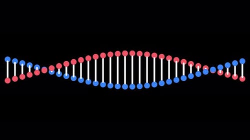 Animation of rotating DNA molecule.