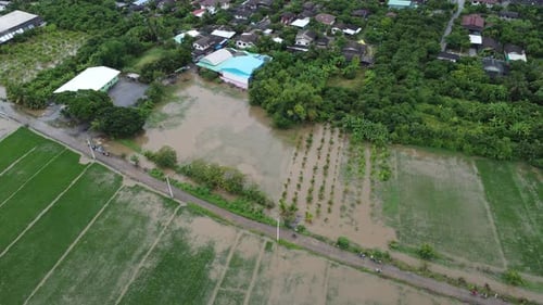 Aerial view of paddy fields or agricultural areas affected by rainy season floods.