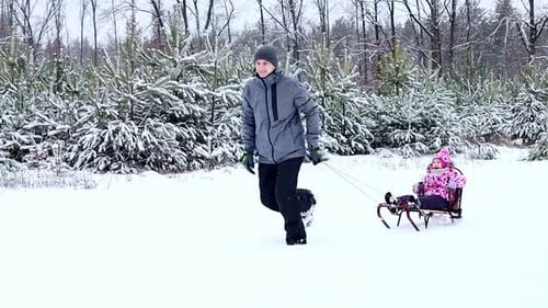 Dad rides a little daughter on a sleigh in the winter forest during snowfall. Happy family has fun