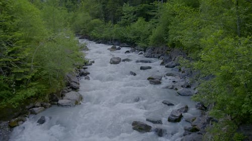 Um rio sereno de montanha fluindo suavemente através de uma densa vegetação exuberante e do esplendor da natureza