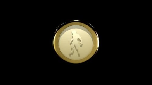 Golden Coin Spinning Silhouette Animation