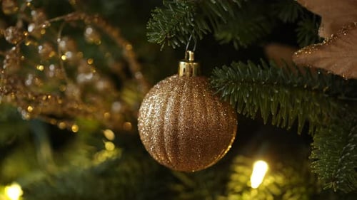 Golden christmas ornament shimmers brightly on a festive evergreen branch