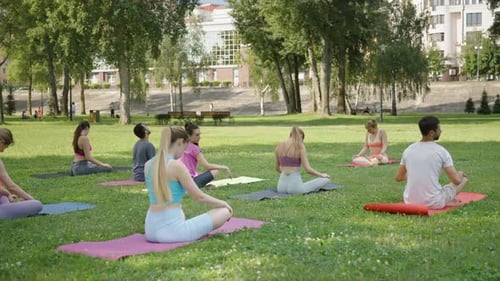 Practitioners Doing Head Bends Together with Yoga Instructor in Sunny Park