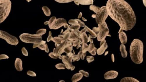 Realistic Peanuts and Kernels Falling with Alpha Channel