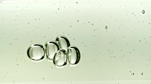 Translucent Bubbles Floating on a Liquid Surface