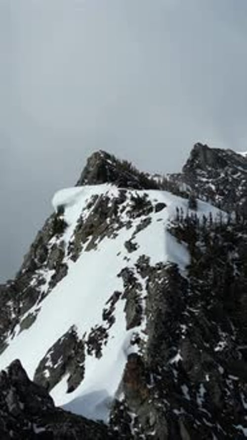 Snowy Mountain Peak With Pine Trees. British Columbia, Canada.