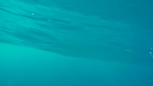 Blau, Wasser und Unterwasser im Meer für Urlaub oder Urlaubsschwimmen