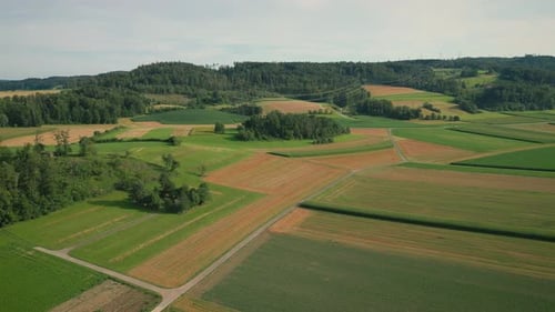 Green agriculture fields from aerial drone view. Green harvested field in summer