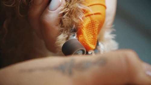 Dog Having Nails Trimmed With Electric File