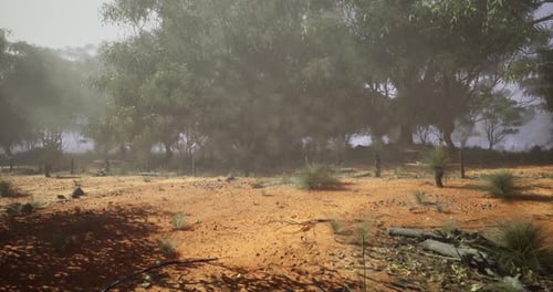 Landscape with Mist Above Dry Ground and Vegetation in Australia During Daytime