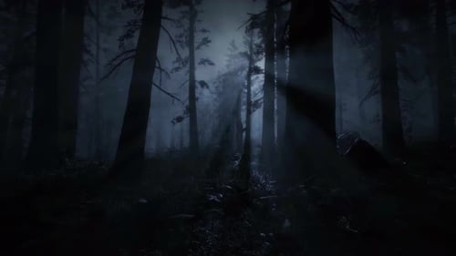 Scary Scene in the Forest, Mystical Trees, Horror in the Fog, Dark Night, Moonlight