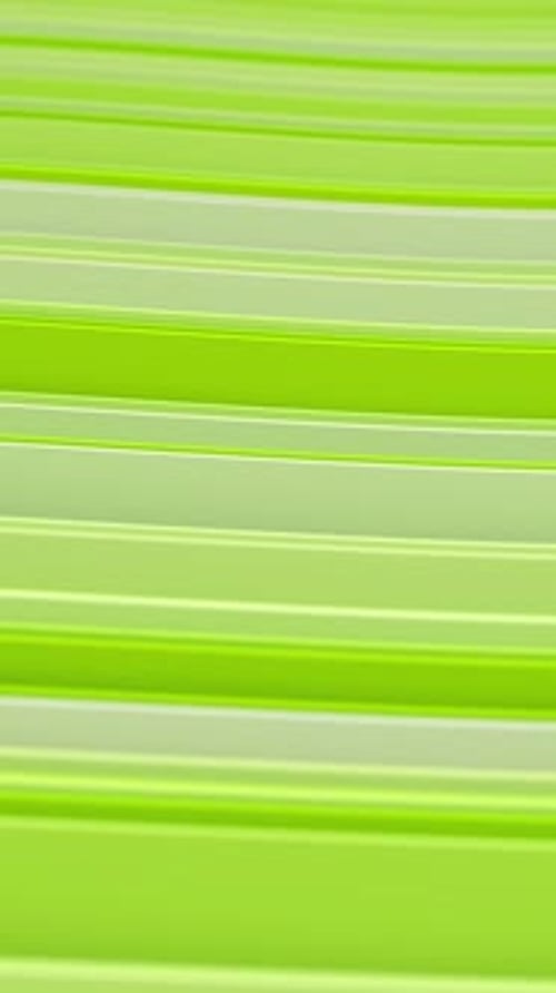 Abstract Fluid Green Wavy Lines Background Animation