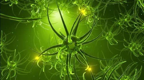 Neurones extraterrestres