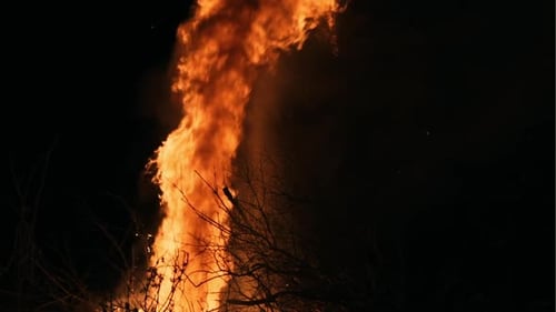 Hot Fire Burning the Dry Forest at Night Time Environment Concept Slow Motion