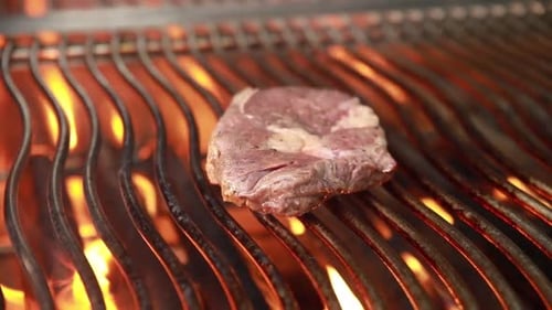 chef cook delicious meat in restaurant