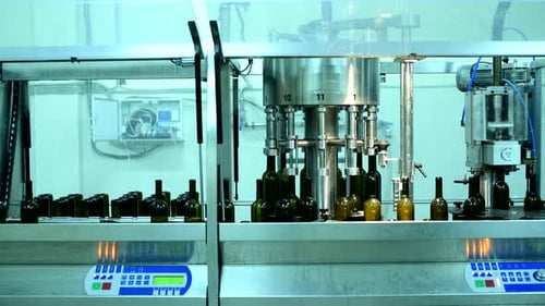 Wine Bottle Conveyor in Action at a Factory Producing Glass Bottles for Red and White Wines