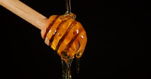 Honey Dripping on a Wooden Honey Dipper